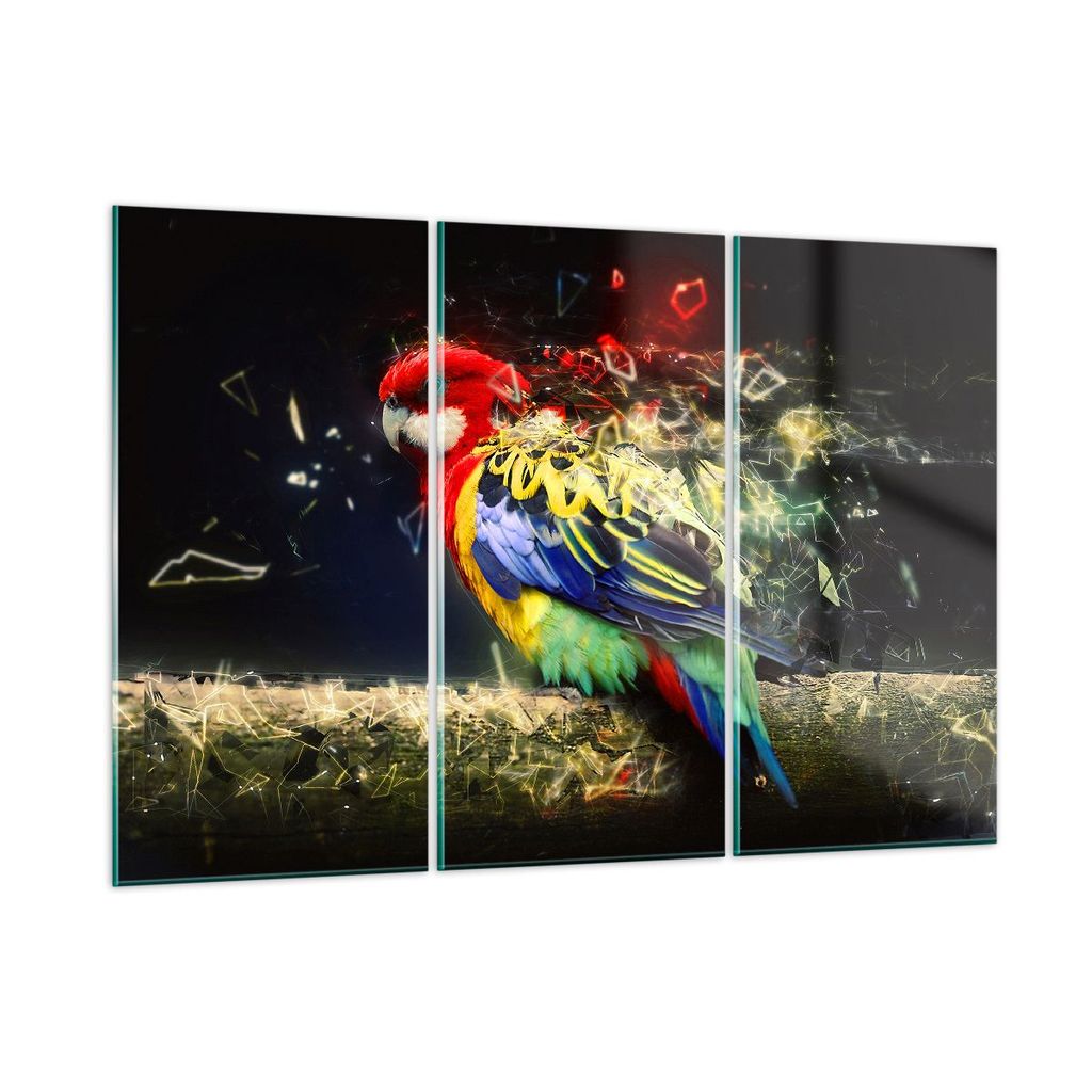 Bilder auf glas - Papagei Vogel Feder - 165x110cm - Glasbilder - Wandbilder - Kunstdruck - zum Aufhängen bereit - Wanddekoration aus Glas - Glas B...