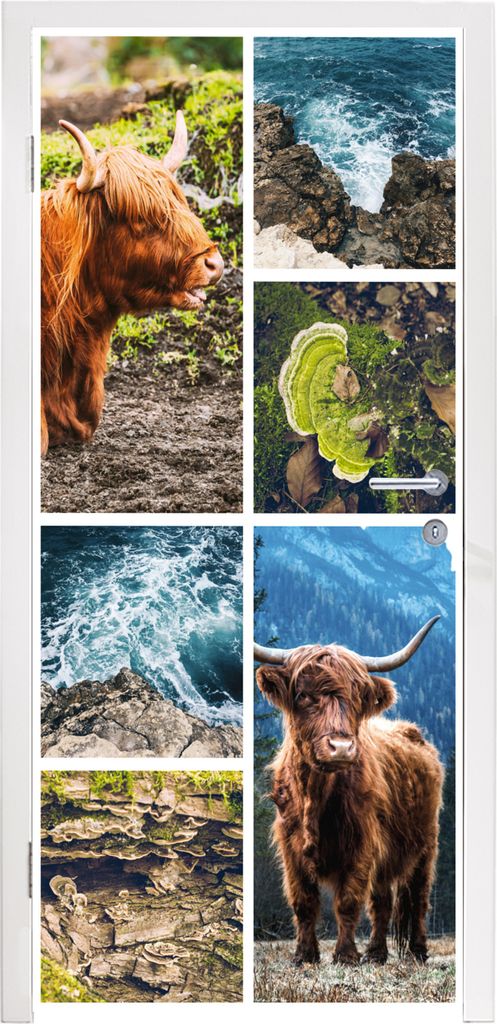 MuchoWow Türtapete Selbstklebende Türfolie Schottische Highlander - Natur - Collage 85x215 cm Türposter Türaufkleber Klebefolie Türklebefoli...