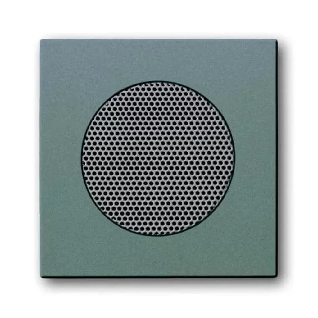 Disque Central Busch-Jaeger 8253-803 pour Remplacer Cache Abîmé Meteor