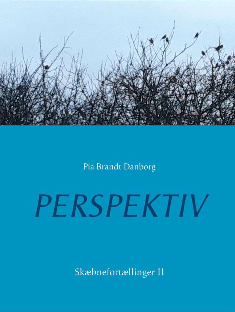 Perspektiv
