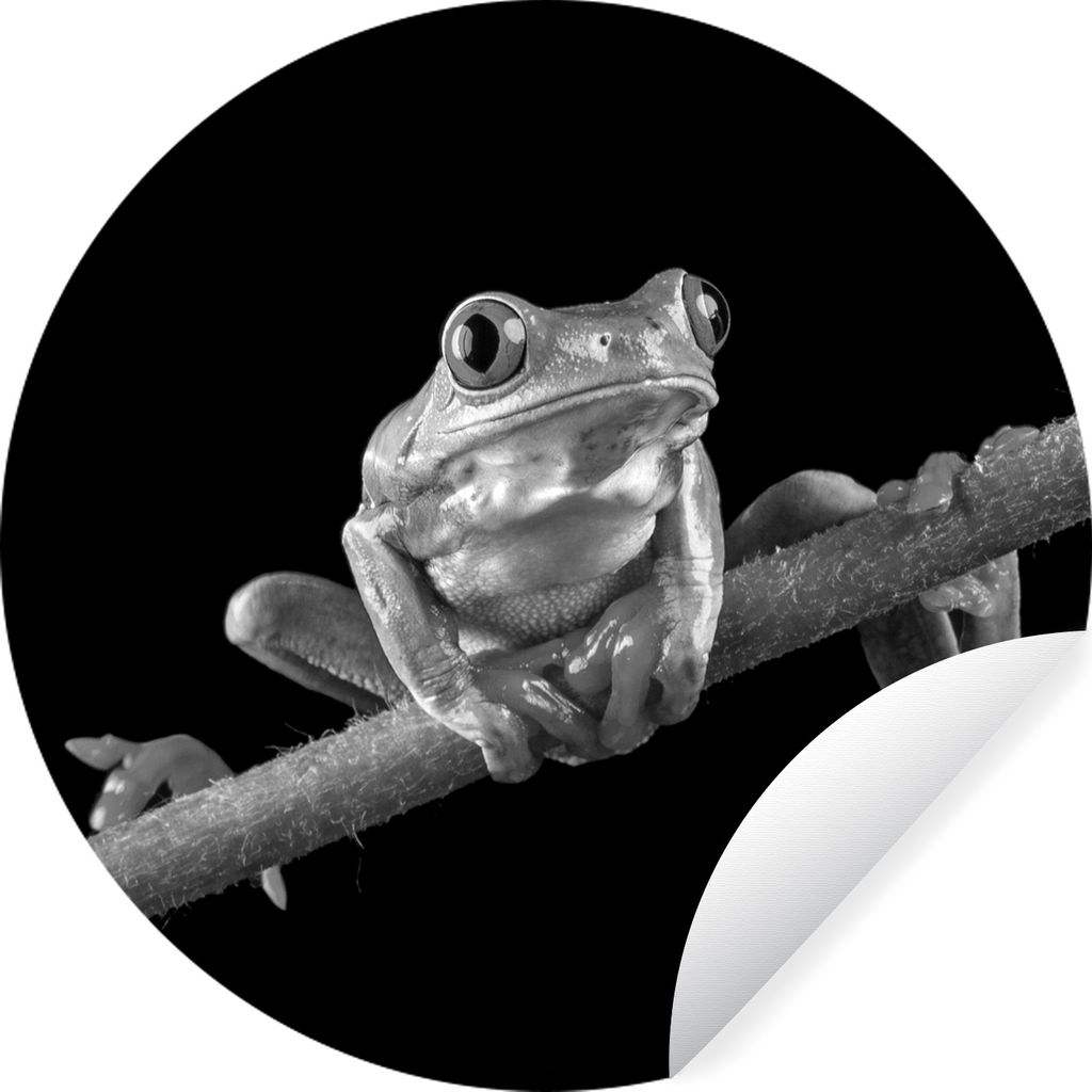 MuchoWow Runde Wandtattoo - Wandsticker Tapete Aufkleber Frosch - schwarz und weiß Ø 30 cm Selbstklebend und Repositionierbar - Wandaufkleber -...