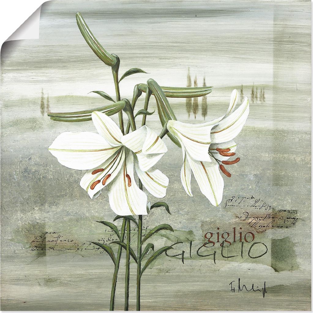 ARTland Poster Lilie Größe: 50x50 cm