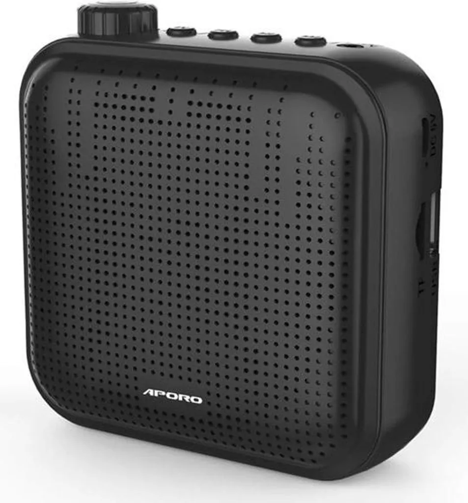 Mini Amplificatore Vocale Portatile con Microfono per Insegnanti e Guide