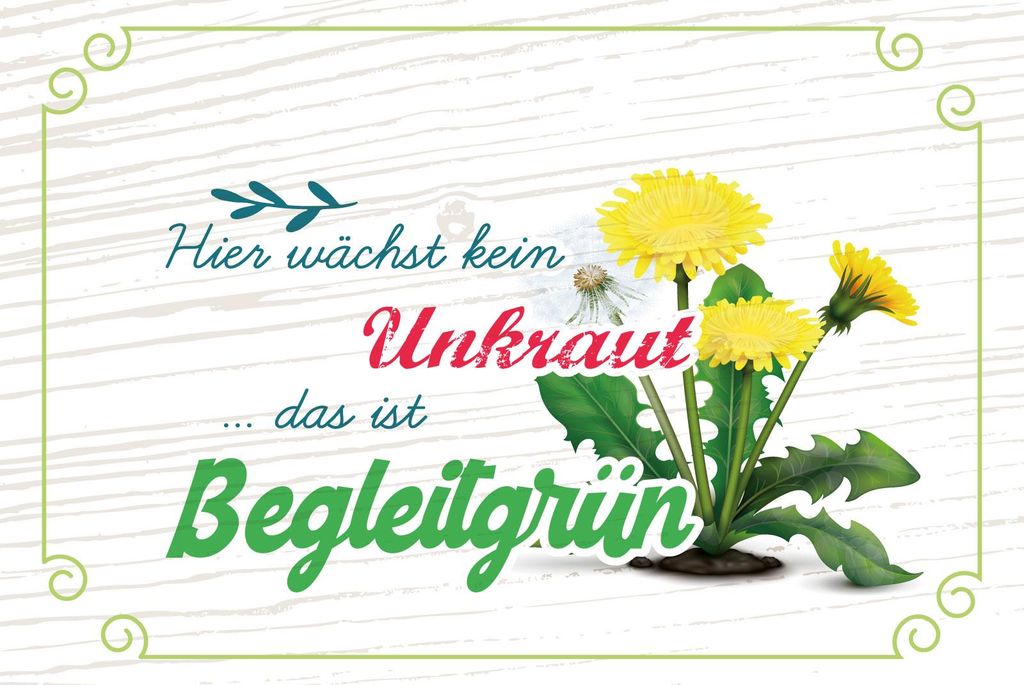 vianmo Holzschild 20x30 cm kein Unkraut das ist Begleitgrün