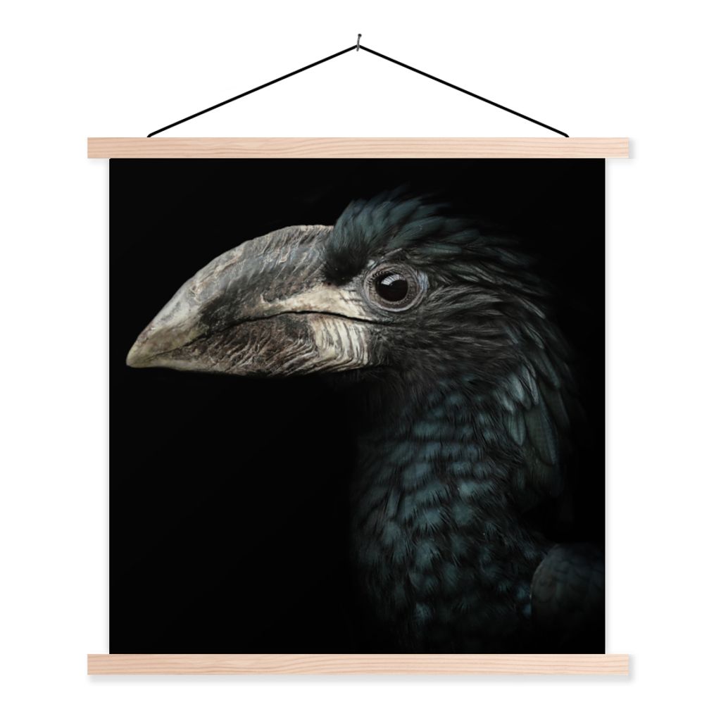 MuchoWow Textilposter Vogel - Porträt - Hornvogel - Schwarz - Tiere 40x40 cm mit holzfarbenen Rahmen - Posterleiste