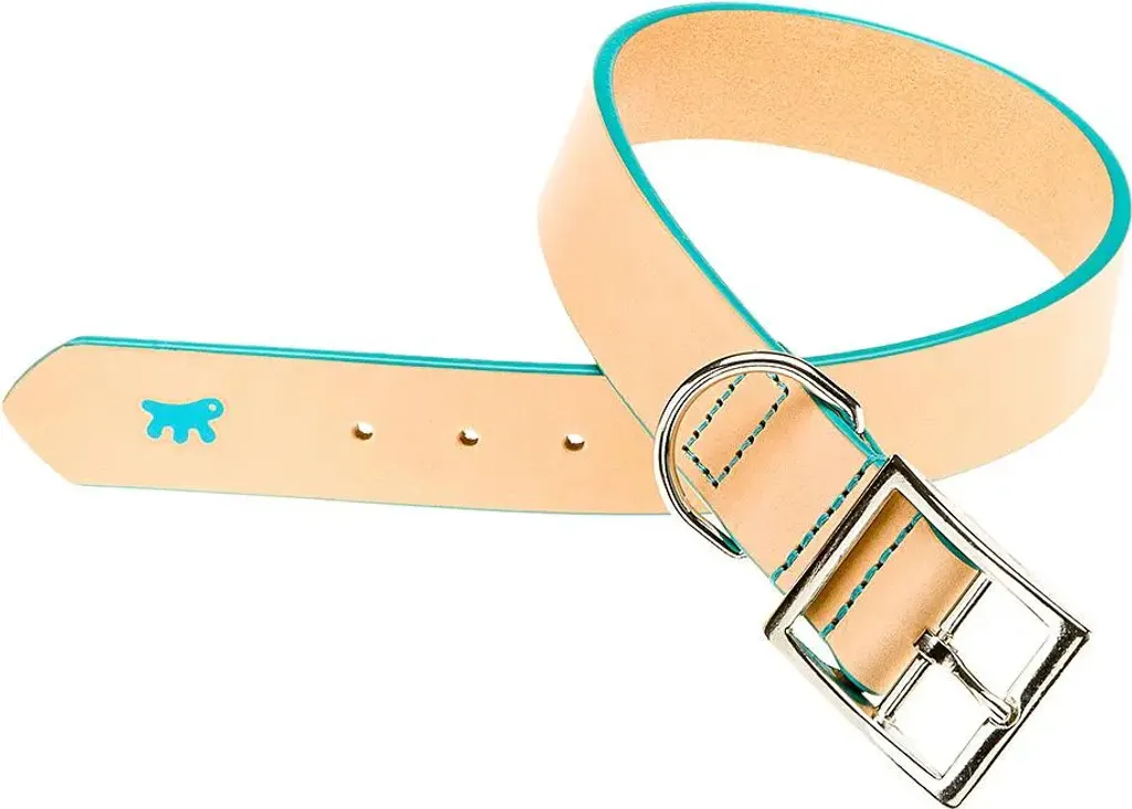 Ferplast Collier Naturel Trendy C30 55 Collier en Cuir Véritable pour Chien