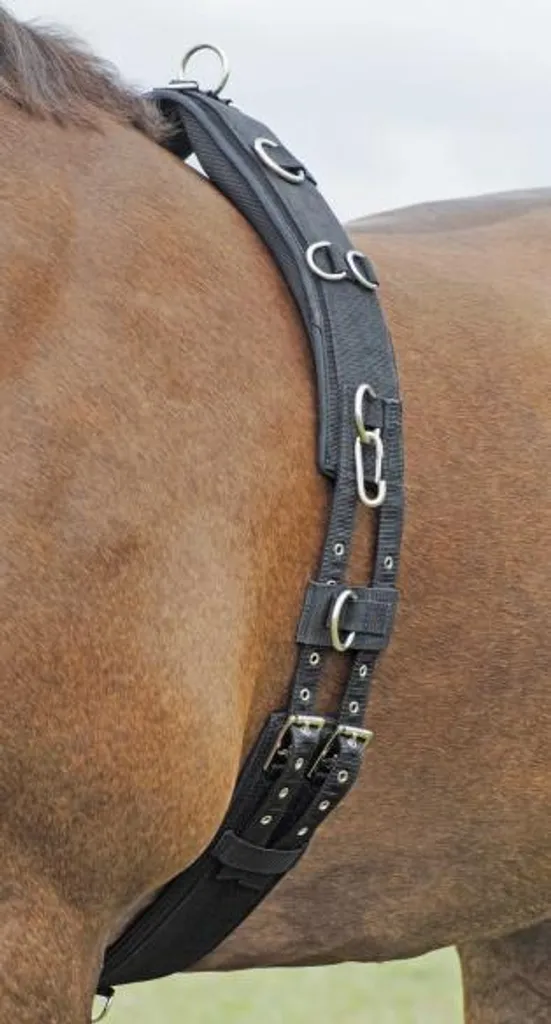 Busse Sangle de longe PROFI-SOFT Noir Taille Poney pour Entraînement