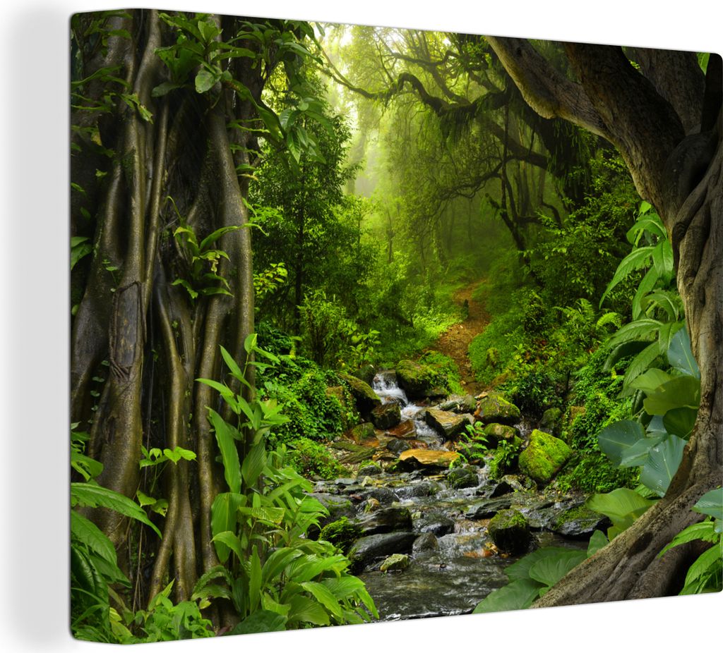 MuchoWow - Leinwandbilder - Natur - Wasser - Dschungel - Wald - Tropisch, Wandbild, Wanddeko Bilder Wohnzimmer, 40x30 cm