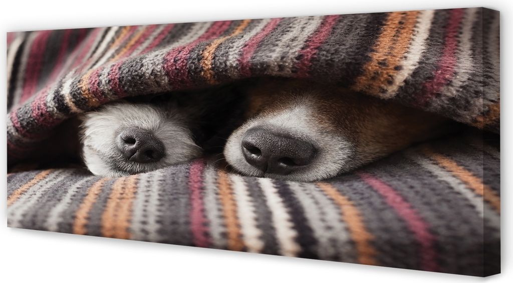 Leinwandbild 125x50 Wandkunst schlafende Hunde