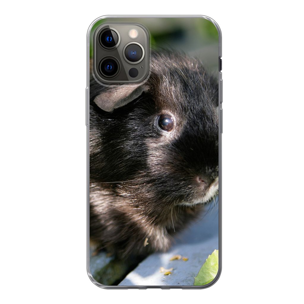 MuchoWow Handyhülle Schutzhülle Hülle für iPhone 12 Pro Meerschweinchen im Garten Silikon Softcase Handy Hülle - Abdeckung