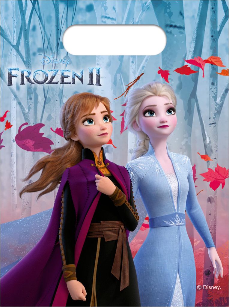 Disney Frozen 2 Divisions Bags, 6st.