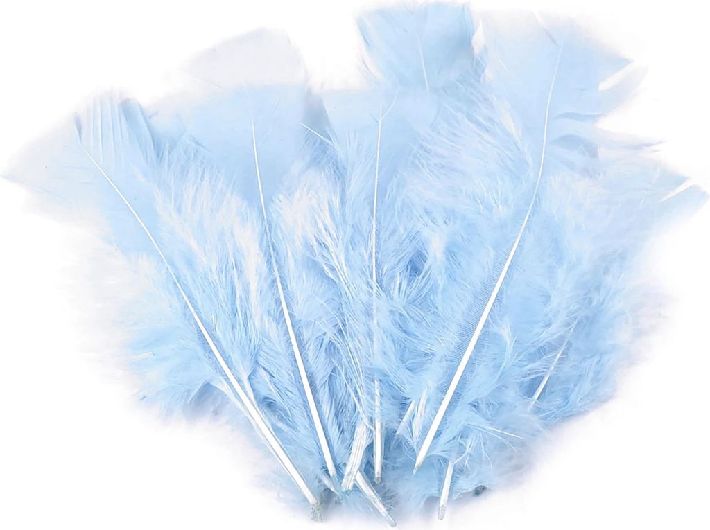 20 Natur-Putenfedern, 11-17cm, Farbwahl, unterschiedliche Farben