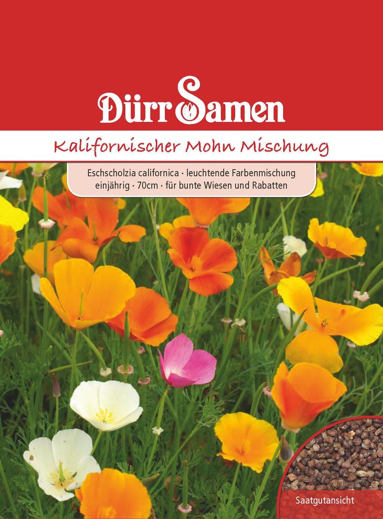 Kalifornischer Mohn Mischung | Mohnsamen von Dürr Samen Produktbild 