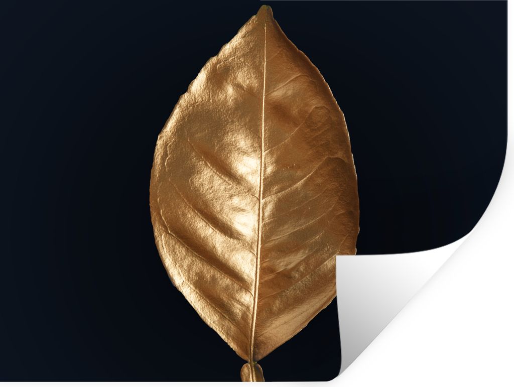 MuchoWow Wandtattoo Wandsticker Wandaufkleber Blätter - Chic - Gold - Pflanzen - Schwarz 40x30 cm Selbstklebend und Repositionierbar - Faltenfrei