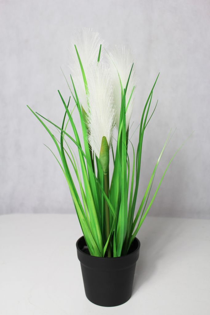 Umel tr va pampas 40 cm umel tr va kaufland sk