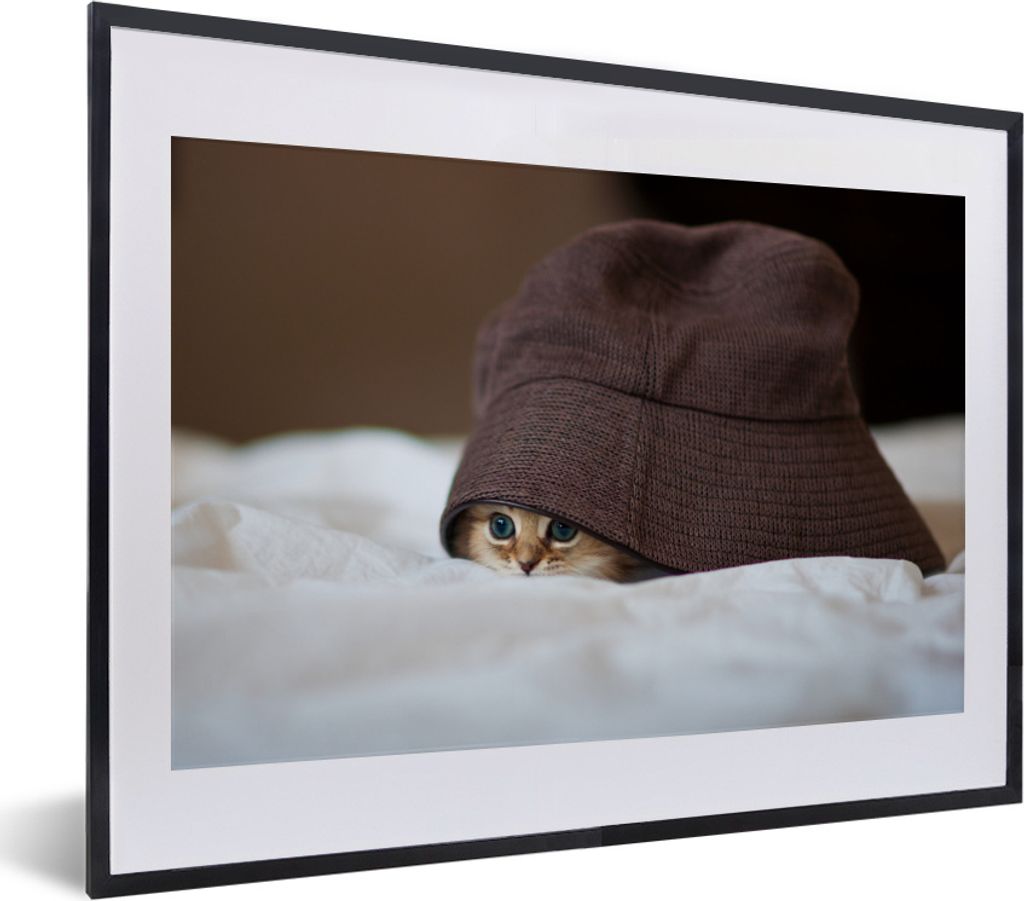 MuchoWow MuchoWow Gerahmtes Poster Ein persisches Kätzchen, versteckt unter einem Hut 40x30 cm - Poster mit zchwarzem Bilderrahmen - Bilderrah...
