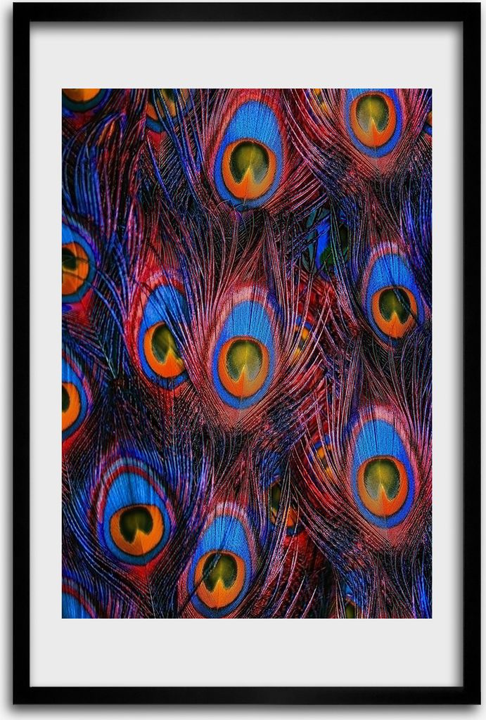 Bild - Bilderrahmen - 40 cm x 60 cm - MDF - Rahmen - Wandkunst - Pfauenfedern