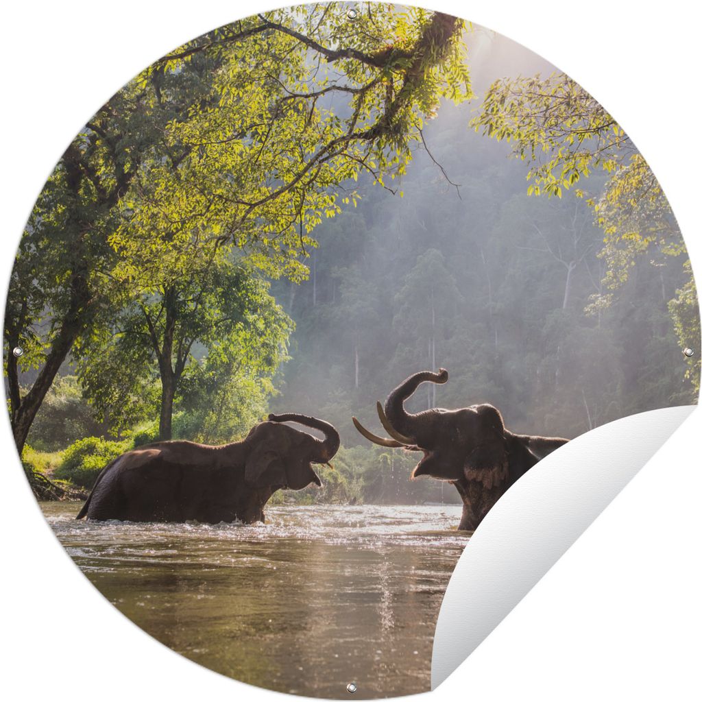 MuchoWow Gartenposter Outdoor-Poster Rund Spielende Elefanten Ø 90 cm Gartendeko Rundes Poster draußen