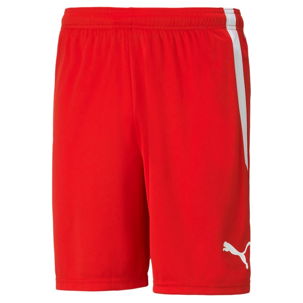 Puma Teamliga Shorts Kinder - Rot Produktbild 