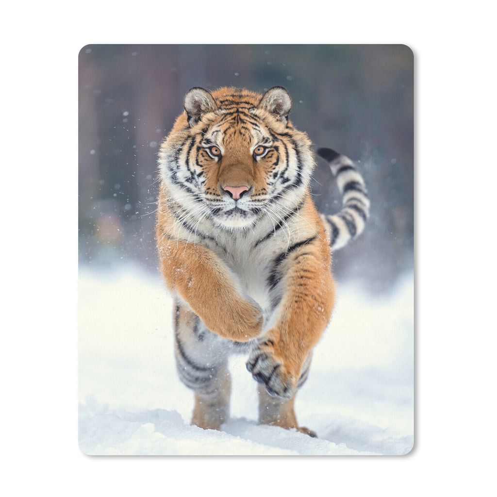 MuchoWow Mauspad Mousepad Tiger - Landschaft - Schnee - Tiere 19x23 cm - Mousepads - Maus Mat - Pad - Mausunterlage - Mauspads - Spielen