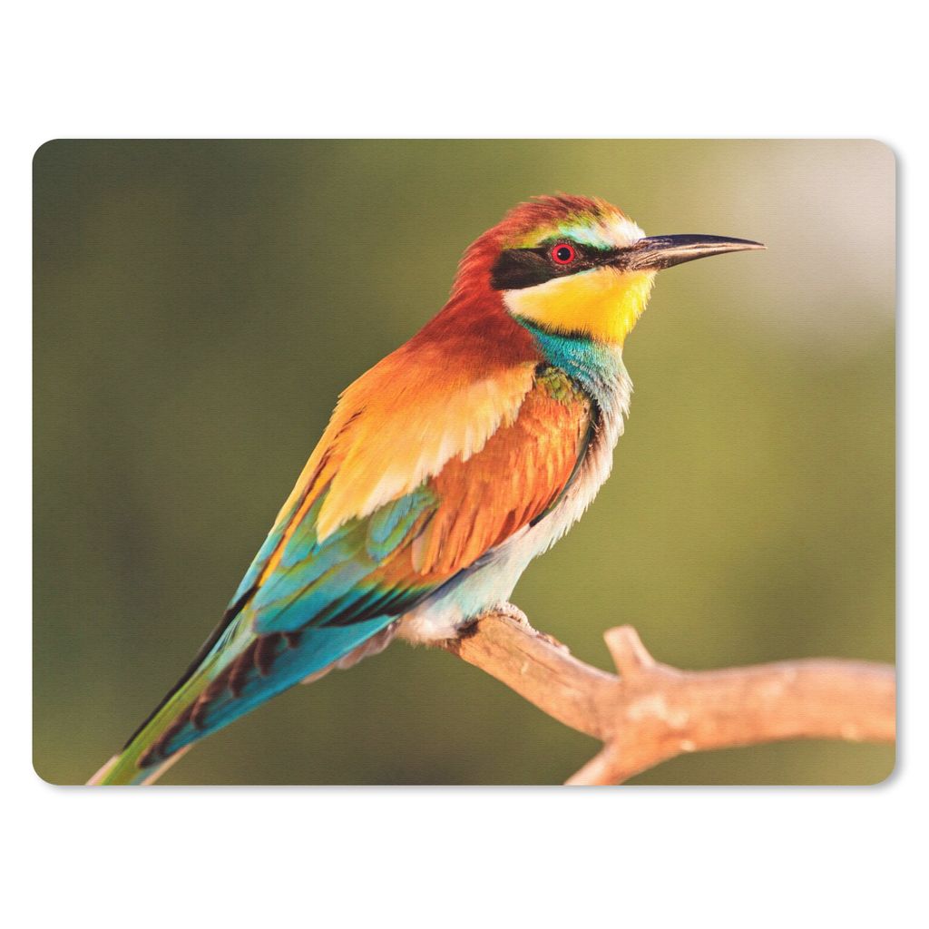 MuchoWow Mauspad Mousepad Vögel - Bienenfresser - Regenbogen - Tiere 40x30 cm - Mousepads - Maus Mat - Pad - Mausunterlage - Anti Rutsch