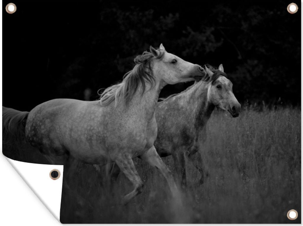 MuchoWow 40x30 cm Outdoor-Poster Gartendeko Sichtschutz Garten Poster für den Garten Zwei galoppierende Pferde auf einer Wiese in Schwarz und W...