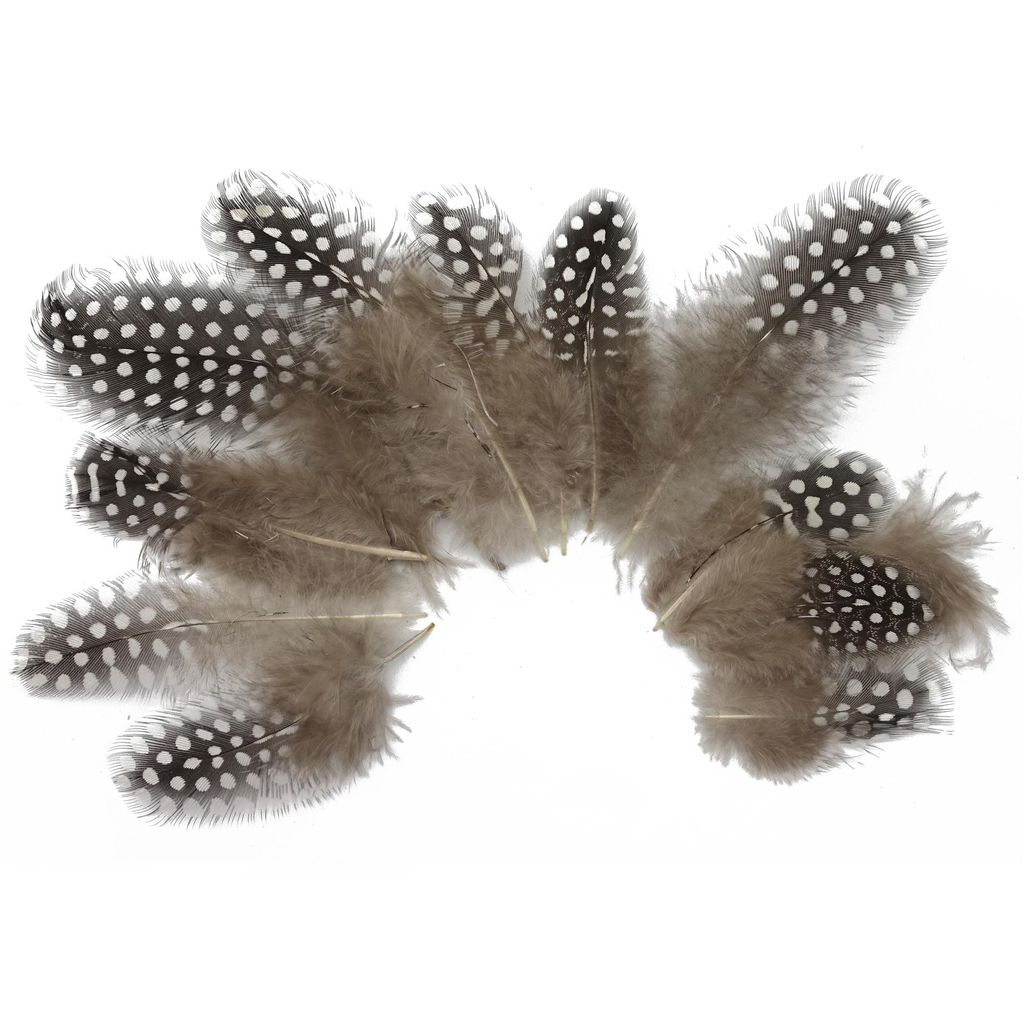 Federn zum Basteln und Schmücken (5-10cm / 10-12 Stück) / Schwarz-Braun mit weißen Punkten