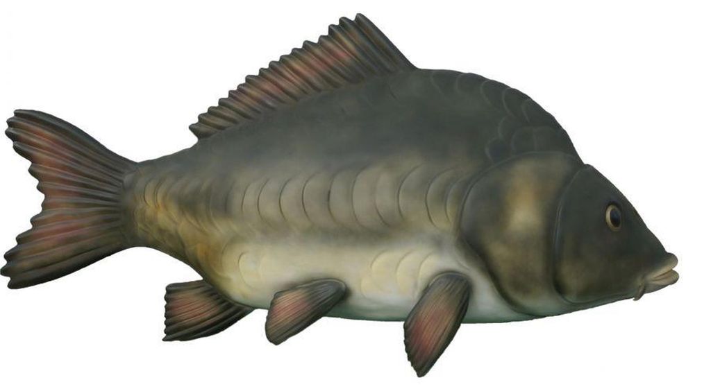 Fisch Figur Garten Statue Skulptur Figuren Skulpturen Dekoration Statuen 250cm
