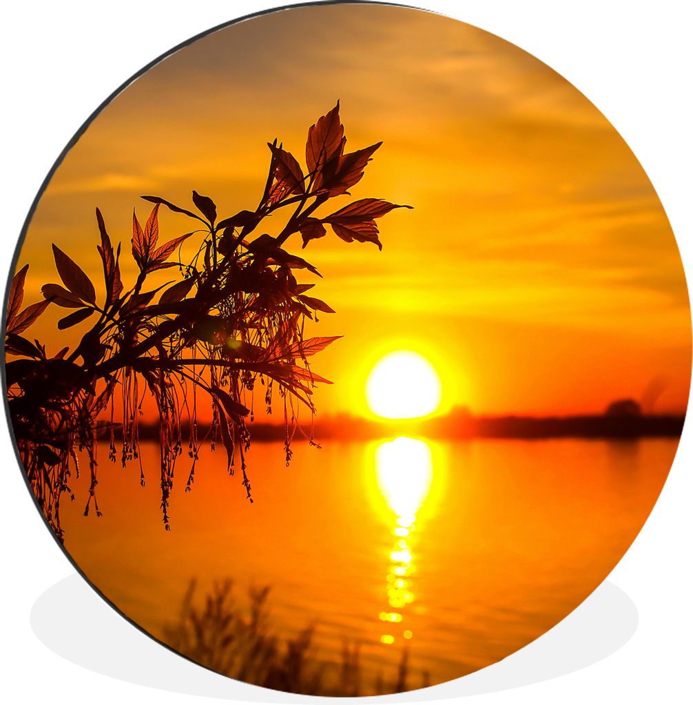 MuchoWow Aluminium Wandkreis Sonnenuntergang - Wasser - Pflanzen - Orange Ø 30 cm Wanddeko Modern Wohnzimmer - Wand Bild - Wohnzimmer - Runde Bi...