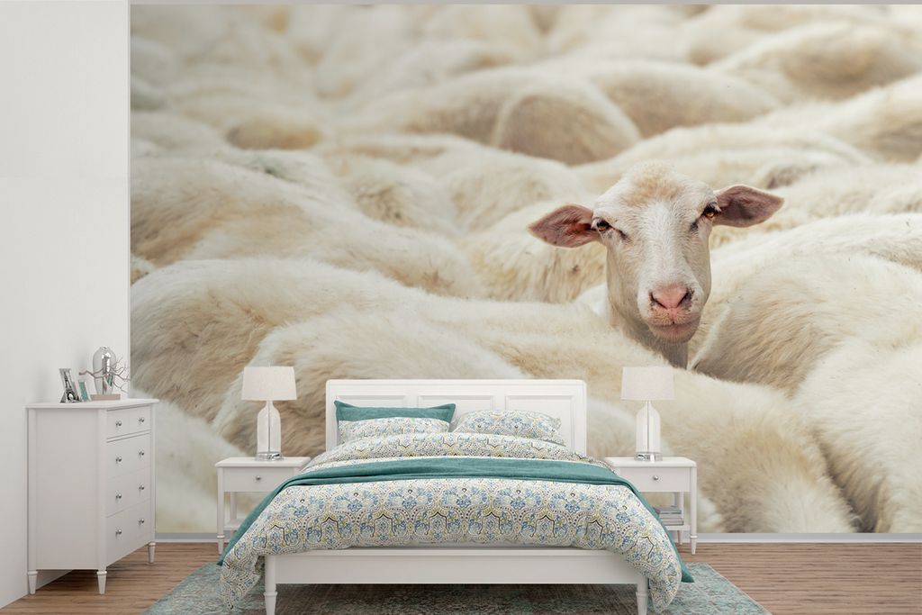 MuchoWow Fototapete für Wohnzimmer oder Schlafzimmer Wandtapete Vinyl Motivtapete Schaf - Tierkopf - Weiß - 360x240 cm - Vinyl-Tapete