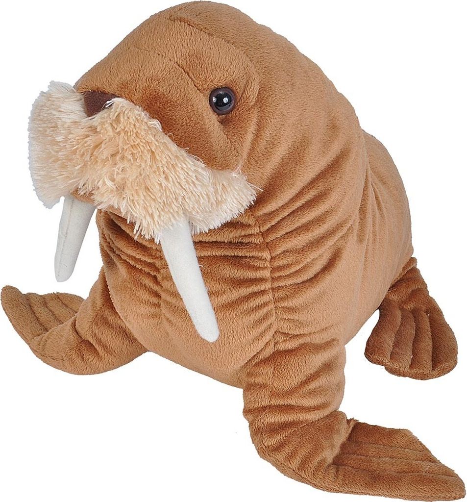 A plush toy walrus is shown from a front-facing angle against a white background.