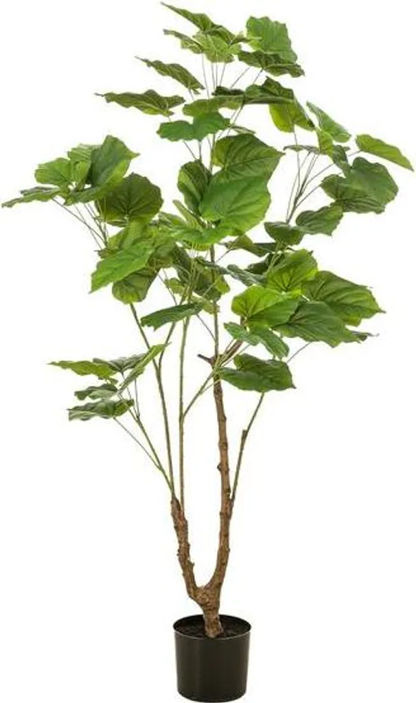 Ficus Umbellata Artificiel 125cm - La Solution Déco sans Entretien