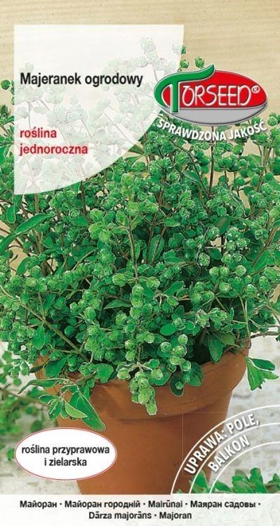 Majoran Samen, Majorana hortensis 1g - Torseed Produktbild 