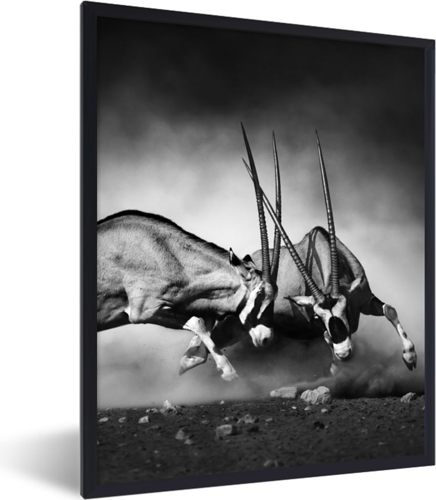 MuchoWow® Gerahmtes Poster Antilope - Schwarz und weiß - Produktbild 