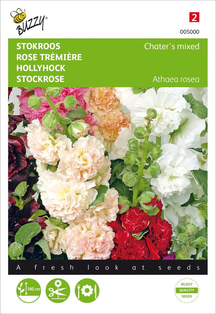 Stockrose Chater’s Gefüllte Mischung | Stockrosensamen von Buzzy Seeds