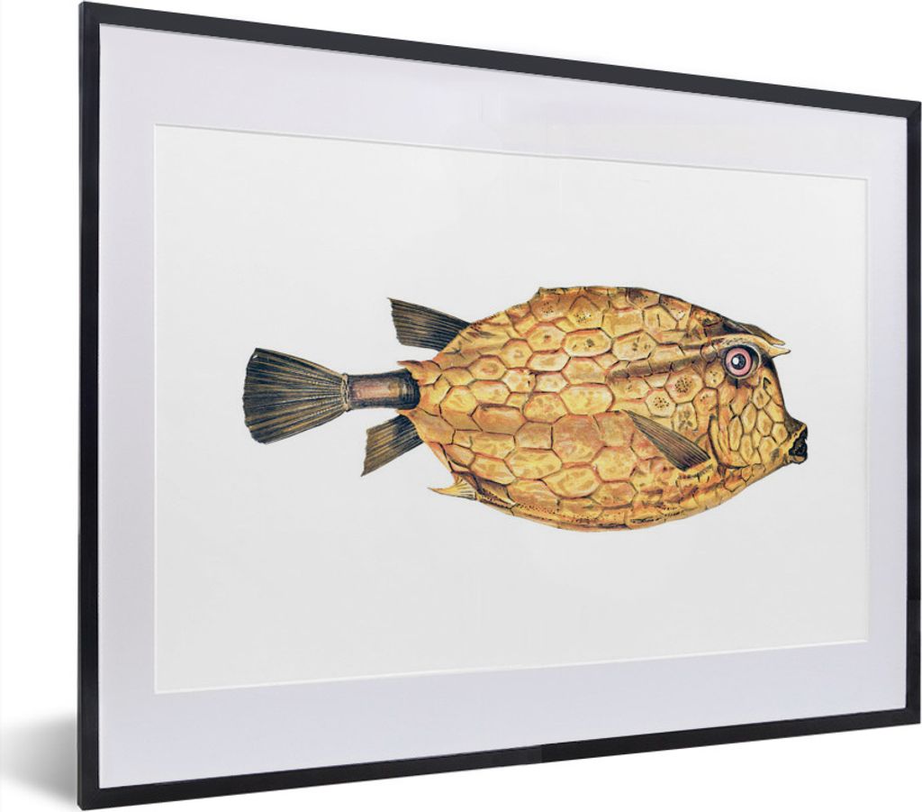 MuchoWow MuchoWow Gerahmtes Poster Fisch - Realismus - Gold 40x30 cm - Poster mit zchwarzem Bilderrahmen - Bilderrahmen - Poster im Rahmen