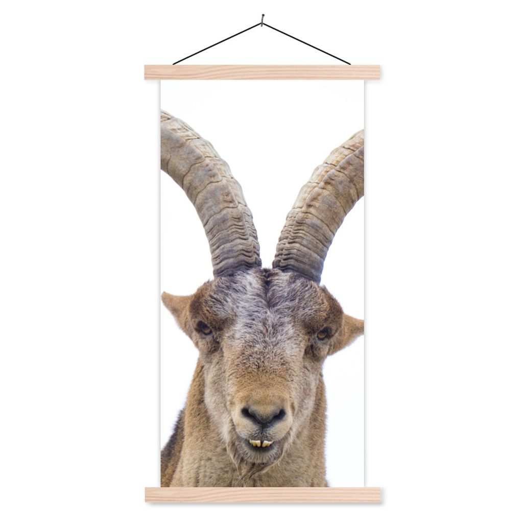 MuchoWow Textilposter Steinbock - Tiere - Hoorn 40x80 cm mit holzfarbenen Rahmen - Wohnzimmer