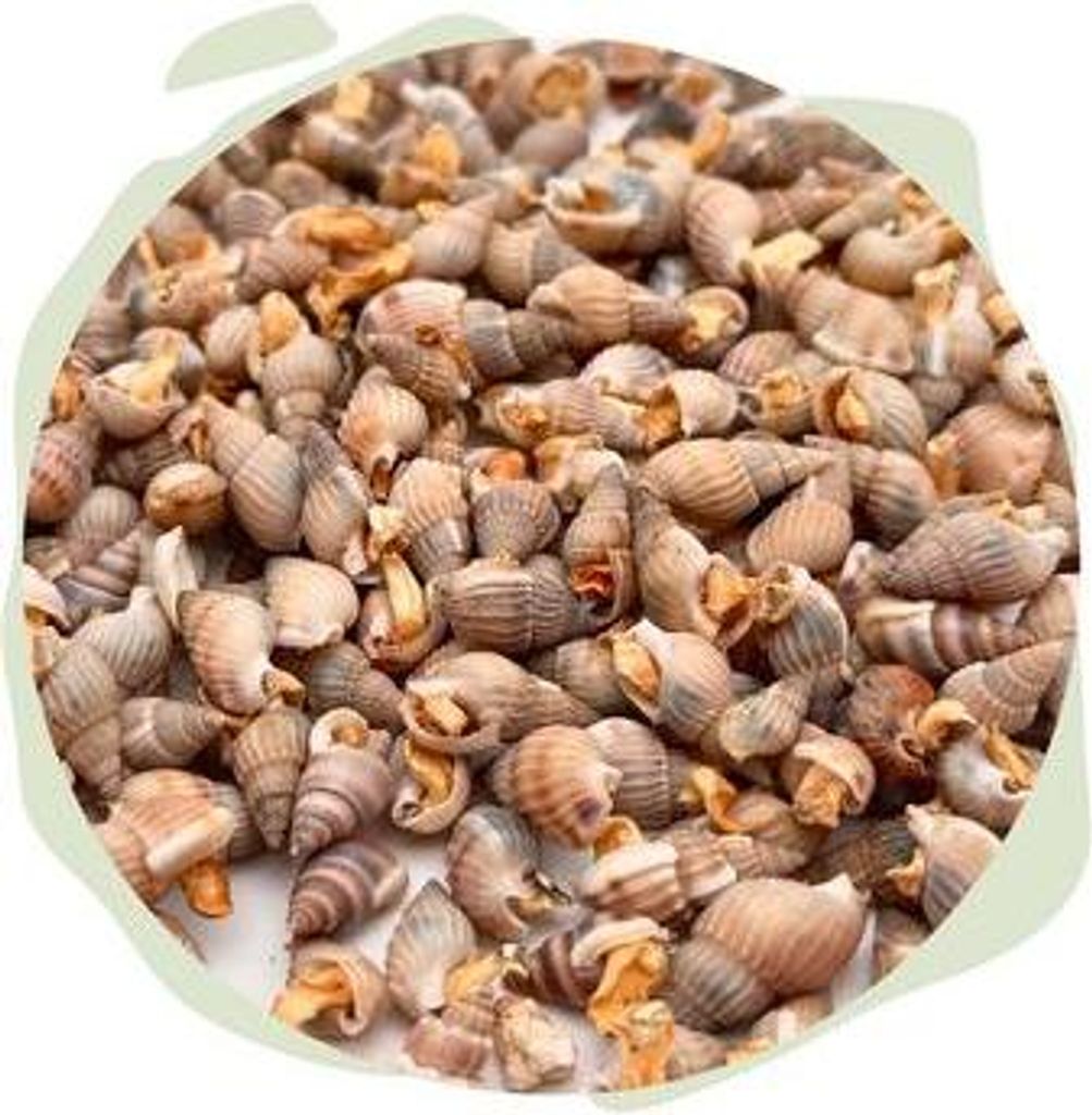 WTS Naturhäppchen - Schnecken gefriergetrocknet - 100 g