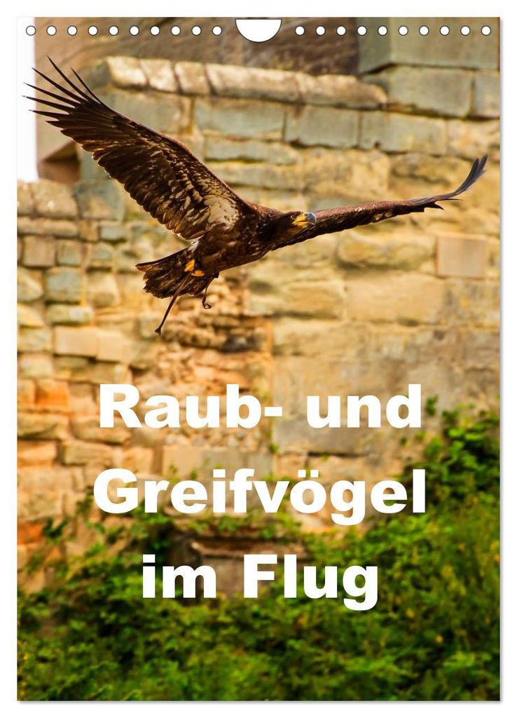 Raub- und Greifvögel im Flug (Wandkalender 2027 DIN A4 hoch), CALVENDO Monatskalender