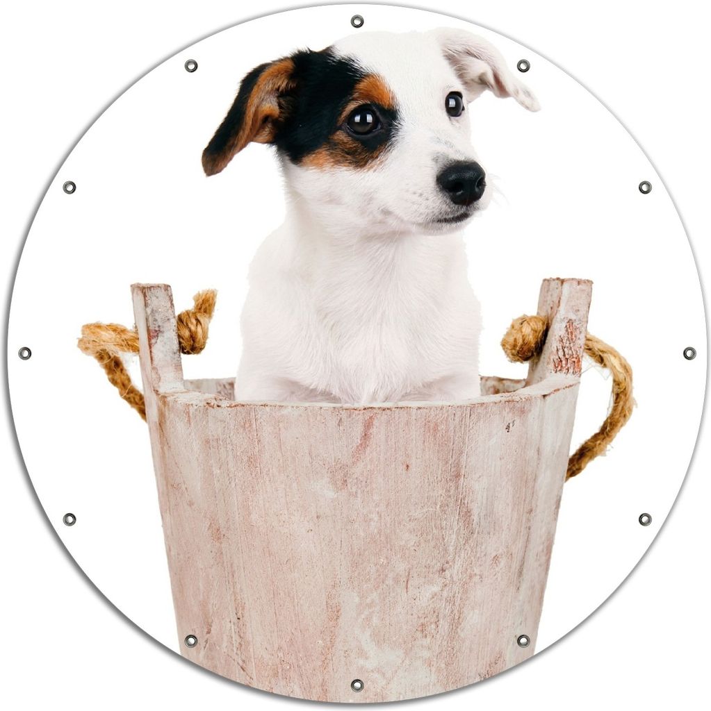 Wallario rundes Outdoor-Poster für Garten oder Balkon, Motiv Hunde-Welpe Jack Russel Terrier in einem Holzeimer, 120 cm Durchmesser