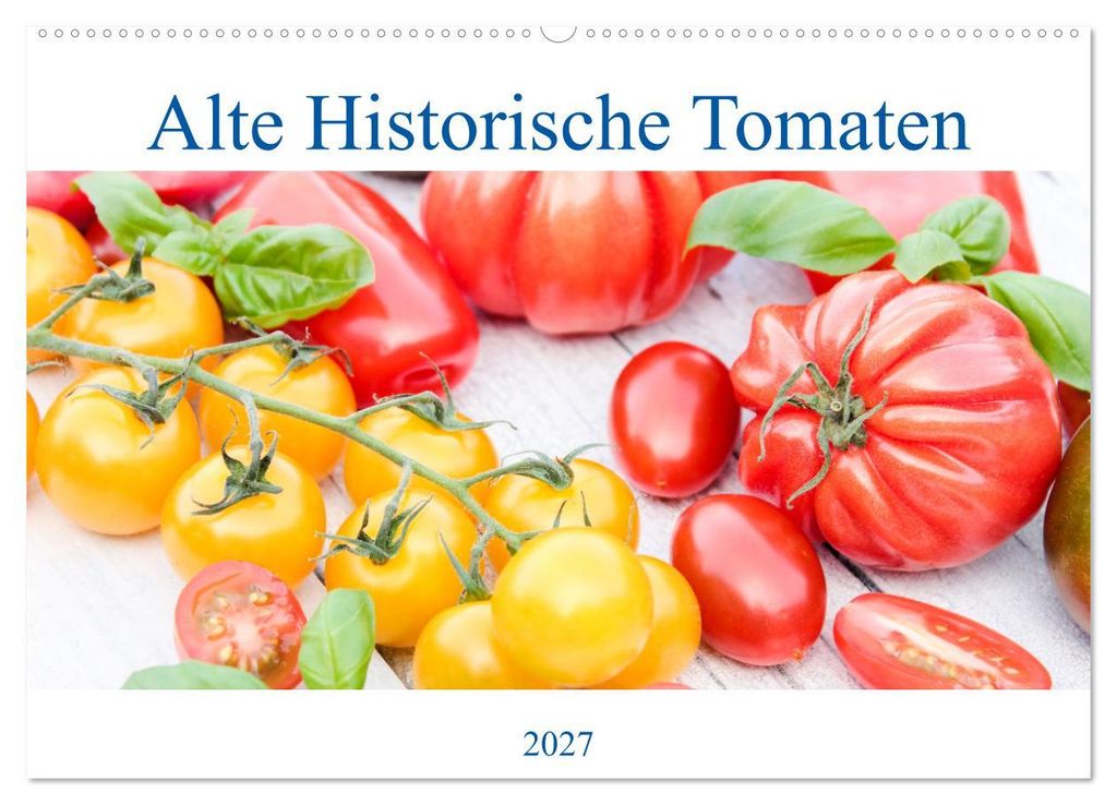 Alte Historische Tomaten (Wandkalender 2027 DIN A2 quer), CALVENDO Monatskalender