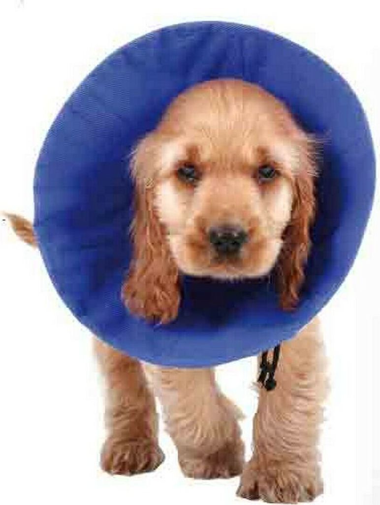 Hunde-Halskrause KVP EZ Soft Blau (14-31 cm)