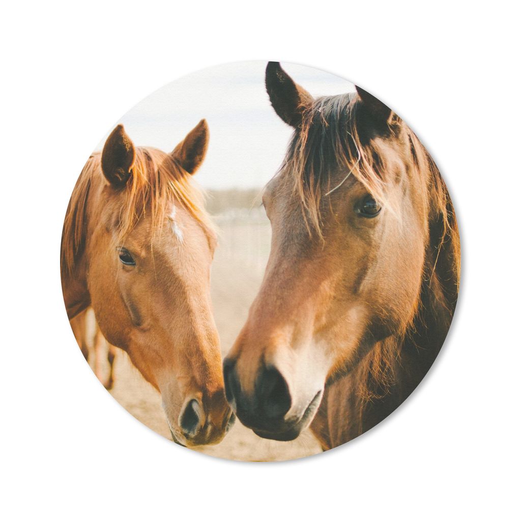 MuchoWow Mauspad Mousepad Pferd - Strand - Tiere 40x40 cm - Mousepads - Maus Mat - Pad - Mausunterlage - Schreibtisch Accessoires