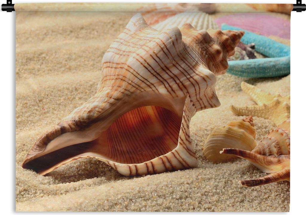 MuchoWow Wandteppich Wandbehang Seesterne - Muscheln - Sand - Strand 60x45 cm Tapisserie Dekoration Wandtuch - Das Schlafzimmer