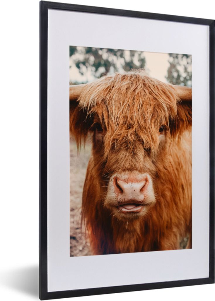 MuchoWow Gerahmtes Poster Kuh - Schottischer Hochländer - Hörner - Braun - Landschaft 40x60 cm - Poster mit Schwarzem Bilderrahmen Wandposter R...