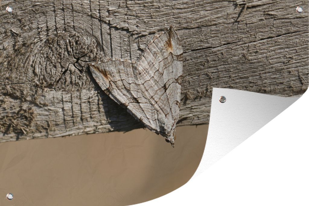 MuchoWow 90x60 cm Outdoor-Poster Gartendeko Sichtschutz Garten Poster für den Garten Camouflage - Motte - Holz