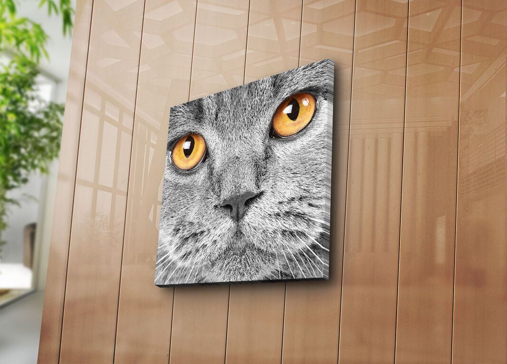 Wallity, 4545NAT- SGH1229, Bunt, Leinwandbilder, 45 x 45 cm, 100% Wildleder -Leinwand