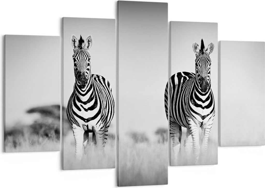 Bild auf Leinwand - Leinwandbild - 5 Teile - Zebras Fotografie Schwarzweiß - 150x100cm - Wand Bild - Wanddeko - Wandbilder - Leinwanddruck - Bilde...
