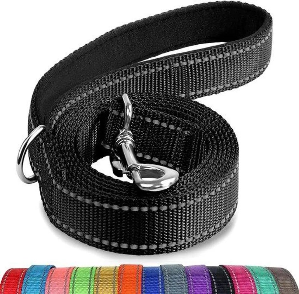 Laisse chien nylon réfléchissante 18m x 2.5cm noire pour dressage