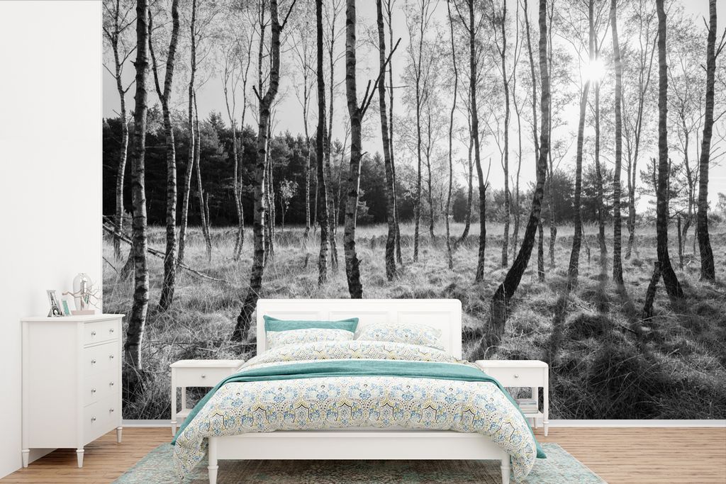 MuchoWow Fototapete für Wohnzimmer oder Schlafzimmer Wandtapete Vinyl Motivtapete Europa - Baum - Schwarz - Weiß - 525x350 cm - Das Hintergrund...